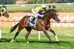 Chartres - VOBIS Sires Guineas & Ethan Brown April 2022